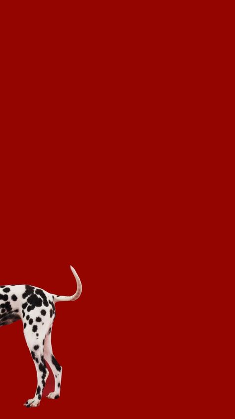 #wallpaper #background #homescreen #quotes #quote #words #aesthetic #lockscreen #red #dog #dalmatian #animal #patterns Dalmatian Wallpaper, Homescreen Quotes, Background Homescreen, Words Aesthetic, Dog Dalmatian, Dog Wallpapers, Aesthetic Lockscreen, Dalmatian Dogs, Animal Patterns