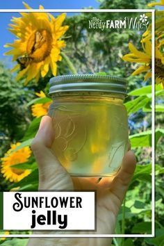 Sunflower Jelly Recipe, Sunflower Jelly, Sunflower Recipes, Herb Jelly, Flowers Recipes, Flower Recipes, Flower Jelly, Sunflower Petals, Edible Flowers Recipes