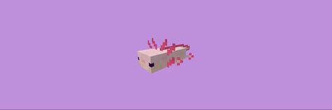 Minecraft Axolotl Wallpaper, Bts Banner, Twitter Banners, Screen Savers Wallpapers, Cute Headers, Twitter Banner, Twitter Headers, Twitter Header, Screen Savers