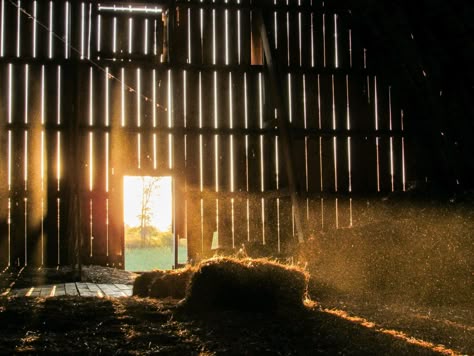 Barn, hay loft, hay mough, old barn, dairy barn, wood beams, aesthetic, sunset, farm, photography, hay bales, straw bales, sun beam. Aesthetic Farm, Farm Aesthetic, Farm Photos, Skai Jackson, Future Farms, Hay Bales, Southern Gothic, Stardew Valley, Through The Window