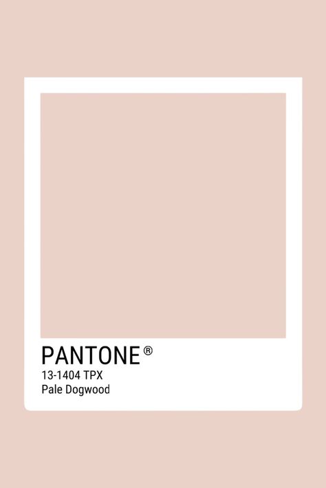 Pantone Champagne, Tcx Pantone, Pale Dogwood, Color Pallete, Champagne Pink, Pink Champagne, Mood Boards, White Color, Color Palette