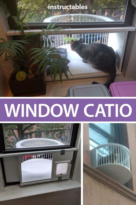 Catio Window Apartment, Window Box For Cats, Diy Catios For Cats Apartment, Catio Plans From Window, Diy Cat Window Box Ideas, Window Catio Ideas For Cats, Cat Friendly Home Interior Design, Catification Apartment, Diy Catios For Cats Cheap