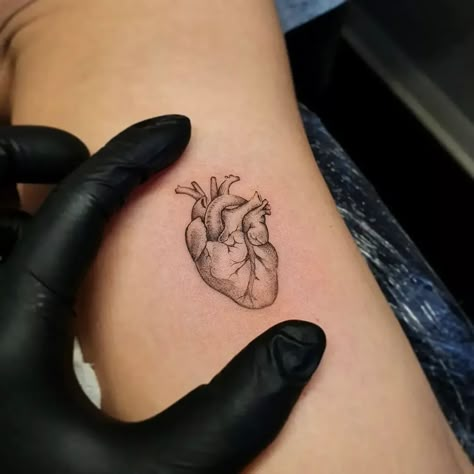 Mini Tattoos Ideas, Real Heart Tattoos, Celtic Heart Tattoo, Human Heart Tattoo, Realistic Heart Tattoo, Heart Tattoo Ideas, Heart With Wings Tattoo, Queen Of Hearts Tattoo, Heart Tattoo On Finger