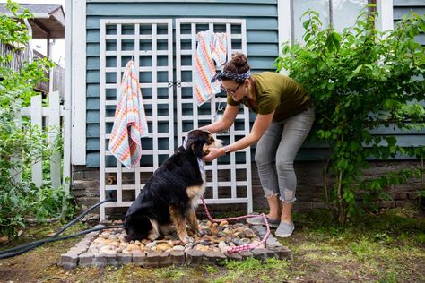 Dog Washing Station Outdoor, Diy Dog Wash, Summer Safety Tips, Washing Station, Summer Safety, Outside Dogs, Dog Washing Station, Muddy Paws, Dog Wash