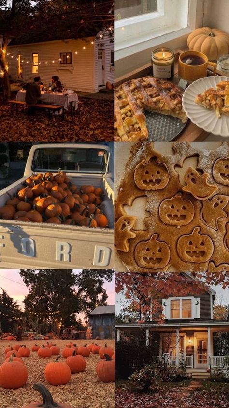 FALL AESTHETIC | FALL BUCKET LIST 30 Bucket List, Girl Wallpapers, Bucket List Ideas, Girly Wallpapers, Fall Mood Board, Autumn Magic, Fall Bucket List, Pumpkin Spice Season, Fall Inspo