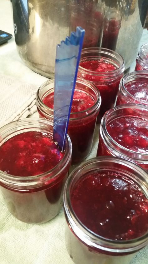 Canning Whole Berry Cranberry Sauce – Preserving the Good Life Cranberry Sauce Recipe Easy, Canning Cranberry Sauce, Canning Cranberry, Cranberry Preserves, Whole Berry Cranberry Sauce, Homemade Vegetable Beef Soup, Sauce Brand, Canned Cranberries, Cranberry Jelly