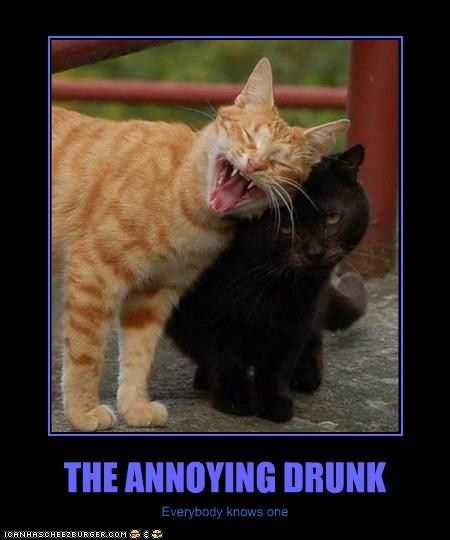 Priceless. I love laughing and this cracks me up. Everyone has a friend like this, do we not? hehe. Two Cats, Here Kitty Kitty, I Love Cats, Silly Cats, Intj, Kitty Kitty, Cats Meow, Zulu, Funny Animal Pictures