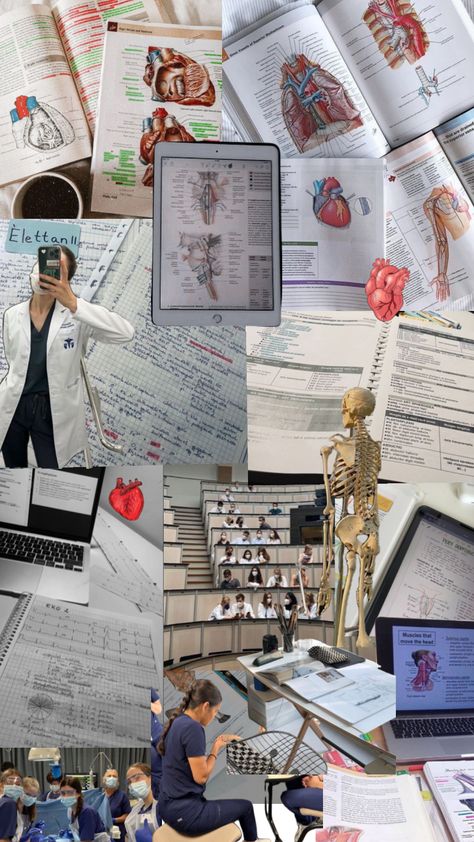 my future medical school cardiology successful cardiologist smart study hard work paperwork intravenous phlebotomy Smart Study, Nursing School Inspiration, Medical Quotes, City Paris, Medical School Life, Nursing School Motivation, Medical Student Motivation, Nurse Aesthetic, Med School Motivation