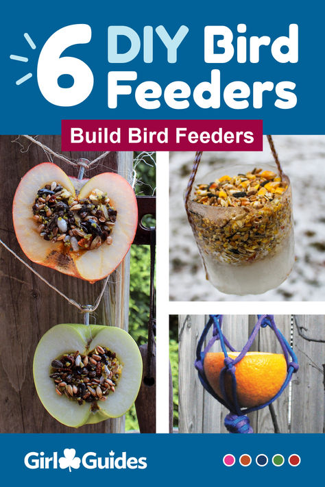 Care for birds! Kids will craft their own bird feeder to help care for their feathered friends. Birdseed Feeders, Preschool Birds, Bird Feeders For Kids To Make, Nature Learning, Birds Theme, Lodge Ideas, Bird Seed Feeders, Juice Carton, Kindergarten Themes