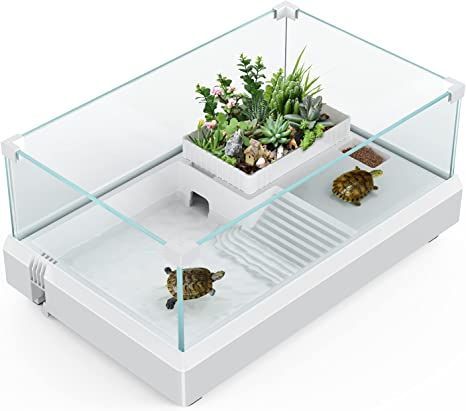 Tortoise Aquarium, Tartaruga Habitat, Turtle Cage, Turtle Tank Setup, Turtle Tanks, Drain Design, Small Tortoise, Turtle Aquarium, Turtle Care