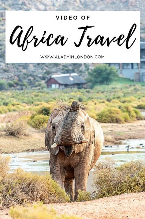 This Africa travel video has great Africa travel destinations in Southern Africa. It covers places like Zambia, Zimbabwe, Botswana, Mozambique, and South Africa. #africa #africatravel Africa Safari Photography, Africa Safari Lodge, Africa Safari Clothes, South Africa Itinerary, South Africa Vacation, South Africa Travel Guide, Africa Itinerary, Cape Town Travel, Africa Vacation