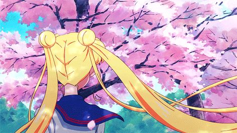 Sailor Moon Cover Photo Facebook, Sailor Moon Wallpaper Laptop Gif, Sailor Moon Discord Banner Gif, Sailor Moon Discord Banner, Sailor Moon Aesthetic Gif, Sailor Moon Crystal Gif, Sailor Moon Gif Banner, Sailor Moon Gif Pfp, Pink And Blue Banner Gif