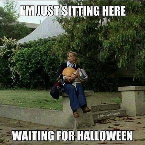 I'm just sitting here waiting for Halloween #halloween #autumn #fall #october Funny Halloween Pictures, Halloween Meme, Halloween Memes, Bloc Party, Halloween Queen, Film Horror, Halloween 2015, Halloween 2016, Halloween Quotes