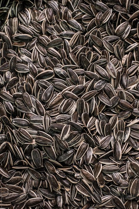 Pile of sunflower seeds for sale at the farmer's market. Sunflower Seed Aesthetic, Sunflower Seeds Aesthetic, Grey Aesthetic, Art Challenges, Protest Posters, Texture Inspiration, Gray Aesthetic, Farmer's Market, Art Challenge