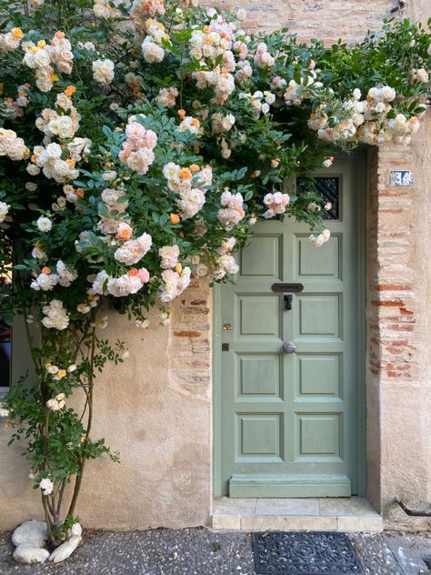 My rose in full bloom Climbing Rose Front Door, Climbing Roses On House, Funky Wall Paint, Small Rose Garden, Funky Wall Paint Ideas, Front Yard Halloween, Painting Ideas Pumpkin, Small Theatre Room, Thanksgiving Table Setup