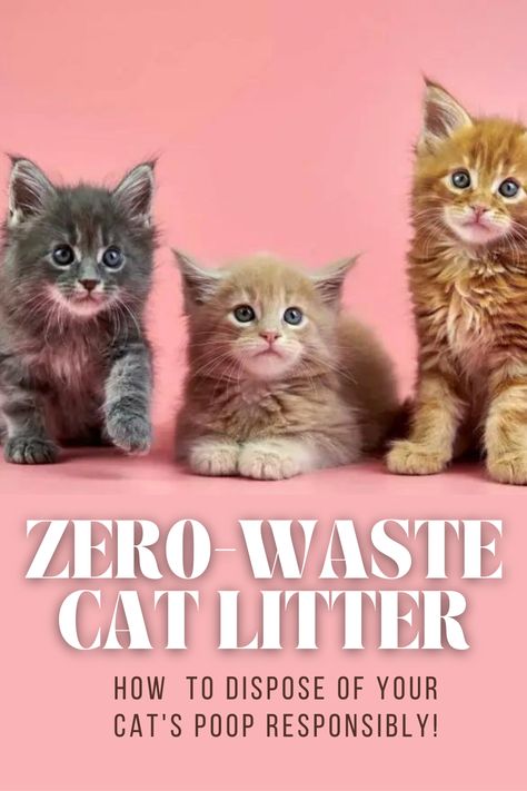 What To Compost, Bathroom Routine, Best Cat Litter, Kitty Litter, Homemade Cat, Compost Bags, Litter Tray, Zero Waste Lifestyle, Healthy Pets