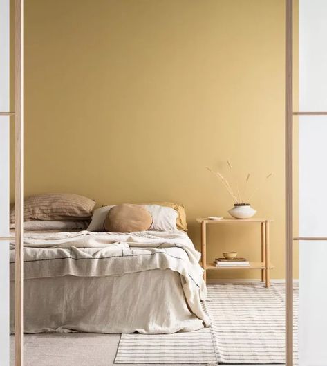 Light Orange Wall Color, Pale Orange Walls, Bedroom Paint Colours 2023, Yellow Paint Bedroom, Light Orange Room, Light Orange Walls, Paint Colours 2023, 2023 Homes, Yellow Bedroom Walls