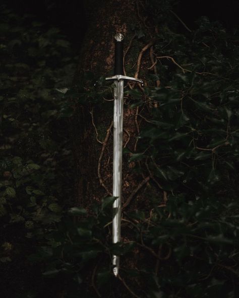 Hi, hello, I'm not dead, I just can't manage being active on instagram besides posting and watching stories 👀🌿 I'll be back soon… | Instagram Sorcery Of Thorns, The Twelve Kingdoms, Throne Of Glass Books, Hand Photography, Dark Fairytale, Fairytale Photography, Fantasy Portraits, Ancient Forest, Magic Aesthetic