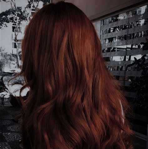 Red Hair Aesthetic, Red Hair Inspiration, Part Of Your World, Chocolate Hair, Red Hair Woman, Hair Aesthetic, Beautiful Curly Hair, Light Hair, Cool Hair Color