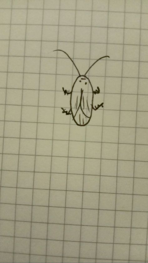 PRETTY COCKROACH 🥰😘😘😘😍😍😍💯💯🙏🏻 Pretty Cockroach, Roach Drawing, Cockroach Drawing, Cockroach Tattoo, Easy Doodles, Doodles Drawings, Easy Doodles Drawings, Funny Doodles, Simple Doodles