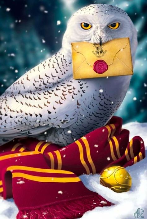 Harry Potter Hedwig Aesthetic, Hedwig Aesthetic, Edwige Harry Potter, Harry Potter Wallpaper Backgrounds, Harry Potter Planner, Hedwig Owl, Harry Potter Theme Birthday, Harry Potter Owl, Harry Potter Painting