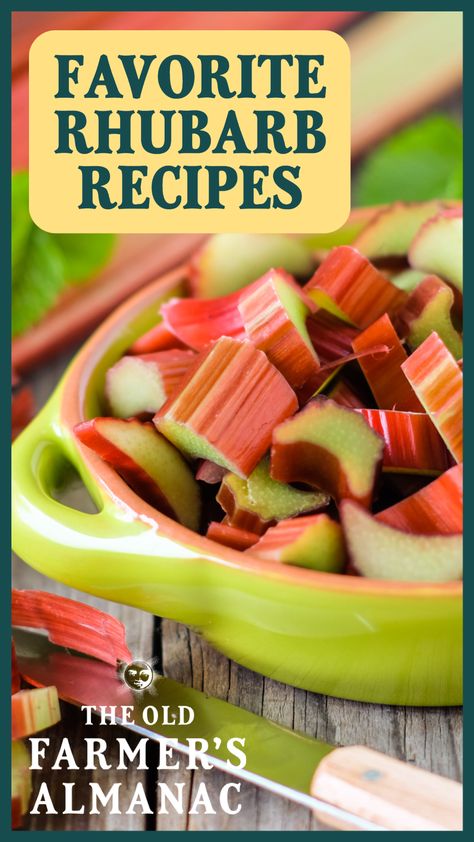 Favorite Rhubarb Recipes #cake #breakfast #easy #recipe #coffeecake #snackcake #rhubarb #fruit #spring #dessert #kuchen #easycake #rhubarbcake . Read more here 👉 https://www.theworldaccordingtome.org/healthy-food-and-drink-recipes/1870073_delicious-and-healthy-rhubarb-recipes-nutritious-rhubarb-dishes/?food Rhubarb Recipes Cake, Rhubarb Recipes Bread, Savory Rhubarb Recipes, Rhubarb Uses, Healthy Rhubarb Recipes, Fruit Sides, Spring Eats, Rhubarb Galette, Rhubarb Crunch