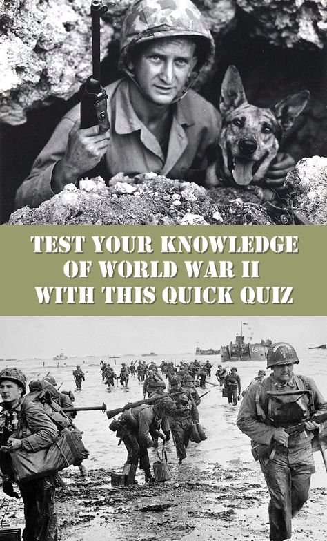 Whether your interest in World War II is just casual, or you consider yourself a true history buff, this short ten-question quiz will help you determine exactly where you stand. Some of the war’s most important people and places are touched on here, so take a few moments to see how you measure up… History Quiz Questions, World Quiz, Ww1 History, Modern World History, History Questions, History Quiz, Movie Quiz, Ww2 History, Class Games