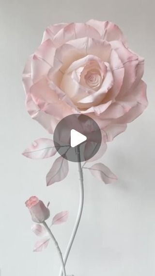 Giant Paper Rose, Blossom Decoration, Giant Paper Roses, Paper Rose, Paper Roses, Handmade Flowers, Rose Flower, Paper Flowers, Flower Designs