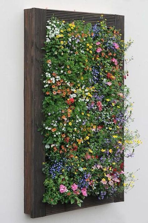 Here are some stunning Vertical Flower Garden Pictures that will inspire you to have a similar setup in your balcony or yard! Shed Inspiration, Garden Wall Designs, Vertical Garden Design, Vertical Vegetable Garden, Vertical Garden Wall, Vertical Herb Garden, Vertical Garden Diy, Vertical Gardens, Walled Garden