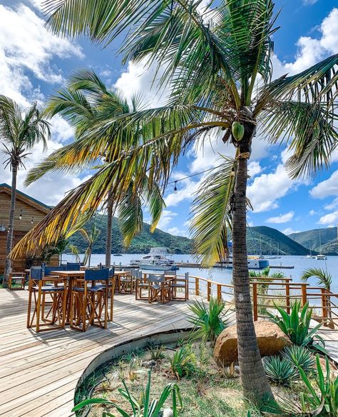 I Love Virgin Gorda on Instagram: “Bitter End Yacht Club is always a perfect option to spend the day and enjoy the beach, watersports, great food, and drinks! ⁠ ⁠ #bvi…” Bitter End Yacht Club, Virgin Gorda, Wedding Theme Inspiration, Theme Inspiration, Yacht Club, What To Pack, Great Food, Water Sports, Bitter