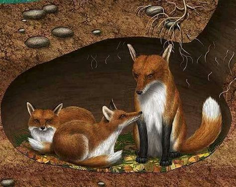 Fox Habitat, Forest Animals Preschool, Polar Bear Craft, Diy Kids Games, Animal Worksheets, Underground Art, Bear Coloring Pages, Night Forest, British Wildlife