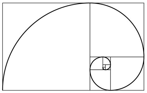 A Fibonacci spiral which approximates the golden spiral, using Fibonacci sequence square sizes up to 34. Fibonacci Art, Fibonacci Number, Golden Section, Photography Rules, Composition Techniques, Divine Proportion, Golden Spiral, Fibonacci Sequence, Fibonacci Spiral