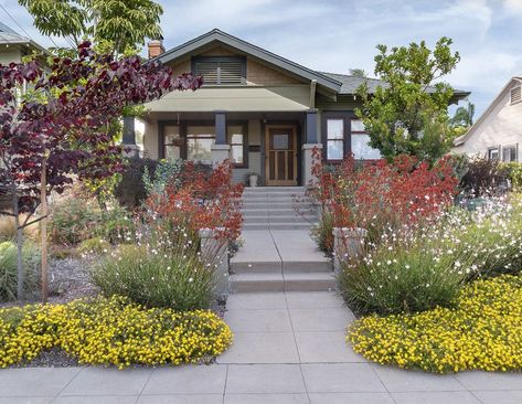 Mailbox Garden, Colorful Shrubs, Low Water Plants, Corner Garden, Casa Exterior, Sustainable Garden, Garden Show, Big Car, Front Yard Garden