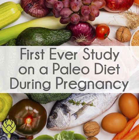 First Ever Study on a Paleo Diet in Pregnancy - Lily Nichols RDN Lily Nichols Recipes, Paleo Pregnancy, Foods That Contain Calcium, Metabolism Recipes, Diet During Pregnancy, Lily Nichols, Pregnancy Recipes, Homemade Broth, Pregnancy Meal Plan