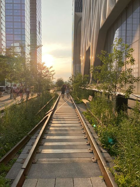 beautiful picture of the high line in 2023 The Highline New York, The High Line Nyc, High Line New York, New York High Line, High Line Nyc, Highline Nyc, Nyc Bucket List, New York Summer, Summer In The City