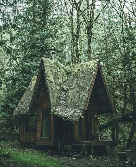 I wonder if it gets dry inside? Small Cabin In The Woods, Witch Cottage, Tiny Cabins, Cottage Cabin, Cottage In The Woods, Little Cabin, Small Cabin, Cabin In The Woods, Cabins And Cottages