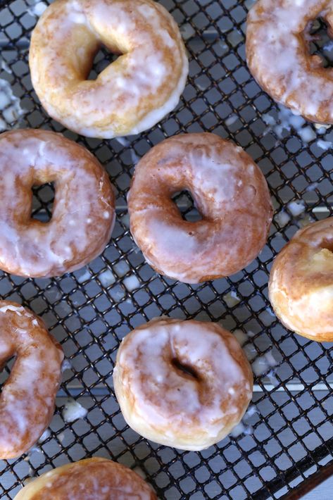 Best Fried Grain Free Donuts - Predominantly Paleo Paleo Donuts, Aip Paleo Desserts, Grain Free Breakfast, Yeast Donuts, Grain Free Bread, Aip Desserts, Fried Donuts, Grain Free Desserts, Paleo Recipes Dessert