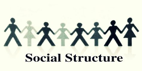 Understanding the Concept of Social Structure Social Construct, Social Structure, Social Environment, Social Activities, Communication System, Social Change, Sociology, Social Life, The Model