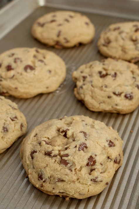 Miss Fields Chocolate Chip Cookie Recipe, Mrs Fields Chocolate Chip Cookies Recipe, Mrs Fields Cookie Recipe, Mrs Fields Chocolate Chip Cookies, Mrs Fields Cookies, Chicken Ravioli, Mrs Fields, Chocolate Cookie Recipes, Best Chocolate Chip Cookie