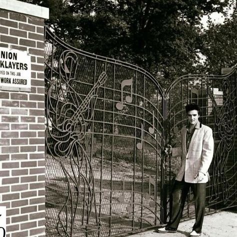 ALL ABOUT LOS ANGELES on Instagram: "Elvis Presley in front of the gates at his Graceland mansion - Memphis, Tennessee - 1957.  @elvis @visitgraceland - Find out MORE at AllAboutLosAngeles.com" Vernon Presley, Elvis Presley Austin Butler, Elvis Presley House, Graceland Mansion, Elvis Tcb, Elvis Presley Priscilla, Elvis Graceland, Elvis Presley Graceland, Elvis Family