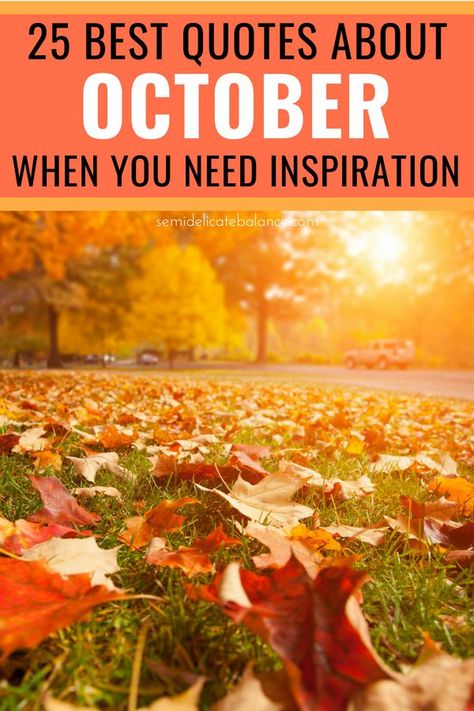 25 Best October Quotes When You Need Some Inspiration, Whether you're born in October of you just want to welcome October #octoberquotes #autumnquotes #fallquotes #octoberquotesandsayings October Quotes Inspirational, Eloquent Quotes, New Month Quotes, October Quotes, Quotes For Inspiration, German Quotes, Get In The Mood, Hello October, Autumn Quotes