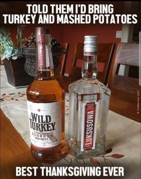 24 Thanksgiving Memes That Are Helping Us Avoid Our Family This Year - Funny Gallery | eBaum's World Funny Thanksgiving Memes, Thanksgiving Meme, Happy Thanksgiving Funny, Thanksgiving Drinks, Alcohol Humor, Wild Turkey, Pizza Place, Thanksgiving Quotes, Morning Humor