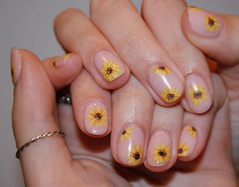 Imarninails on Instagram: “Hand painted sunflowers 🌻 Gel nail art 💛🖤 for @kay_bourke1 x” Nails Sunflower Design Simple, Small Flower Nail Art, Hand Painted Sunflowers, Nail Art Mariage, Painted Sunflowers, Sunflower Nail Art, Lily Nails, Sunflower Nails, Korean Nail Art