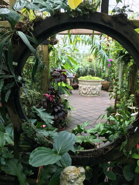 Outside Sunset, Conservatory Of Flowers, Botanic Gardens, Home Flowers, Garden Diy, Secret Obsession, Permaculture, Garden Room, Landscaping Ideas