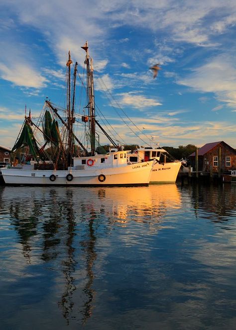 Shem Creek, Shrimp Boats, Mt Pleasant Sc, Shrimp Boat, Salt Water Fishing, Southern Life, Eye Photography, Mount Pleasant, Photo Blog