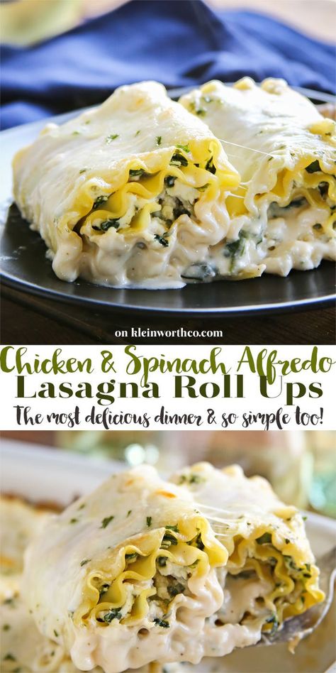 Chicken Spinach Alfredo Lasagna Roll-Ups are loaded with shredded chicken, spinach & ricotta filling & topped with alfredo sauce. Perfect weeknight dinner. Chicken Spinach Ricotta, Spinach Alfredo Lasagna, Spinach Ricotta Filling, Alfredo Roll Ups, Chicken Spinach Lasagna, Lasagne Roll Ups, Chicken Lasagna Rolls, Recipes Lasagna, Lasagna Recipe With Ricotta