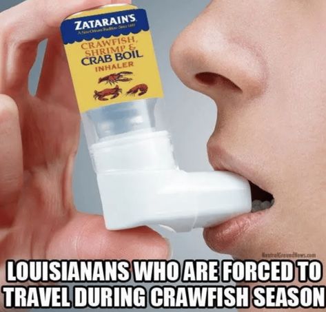 Louisiana Culture, Louisiana Creole, Crawfish Season, Louisiana History, Louisiana Cajun, Louisiana Homes, Southern Life, South Louisiana, Lake Charles