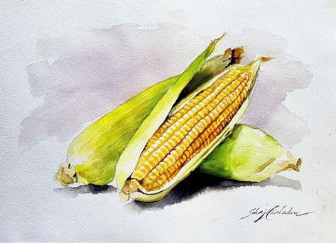 Corn Watercolor, Vegetables Watercolor, Corn Drawing, Paintings Nature, Colored Pencil Art Projects, Watercolor Paintings Nature, Grade 10, Fence Art, Object Drawing