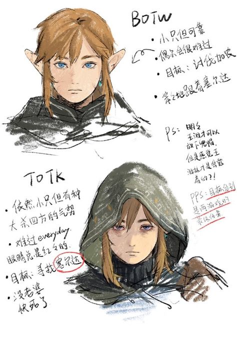 Link Concept Art, All Spiderman, Botw Zelda, Link Zelda, Have Inspiration, Zelda Art, Legend Of Zelda Breath, Twilight Princess, Arte Sketchbook