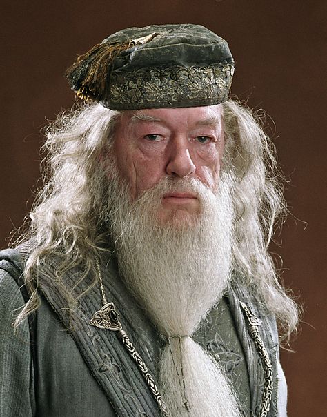 Latin influences in Harry Potter Dumbledore Bashing, Dumbledore Family, Beard Halloween Costumes, Harry Potter Professors, Harry Potter Dumbledore, Hulk Character, Michael Gambon, Albus Dumbledore, Harry Potter Film